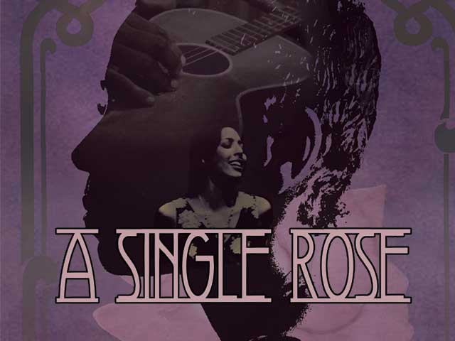 A Single Rose